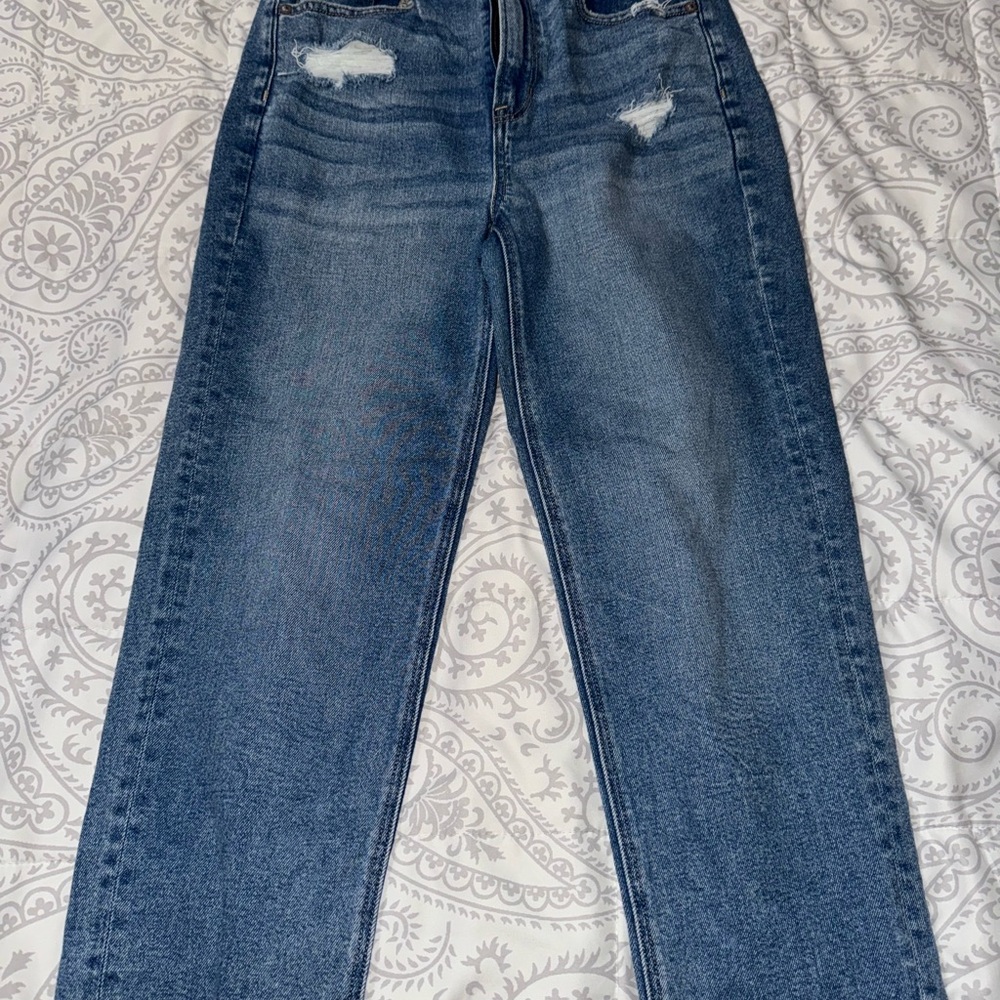 American Eagle Distresses Mom Jeans